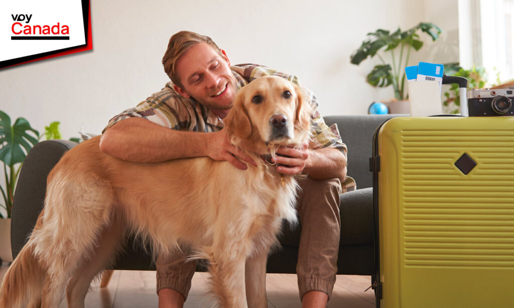 Guía completa para rentar una vivienda pet-friendly en Canadá