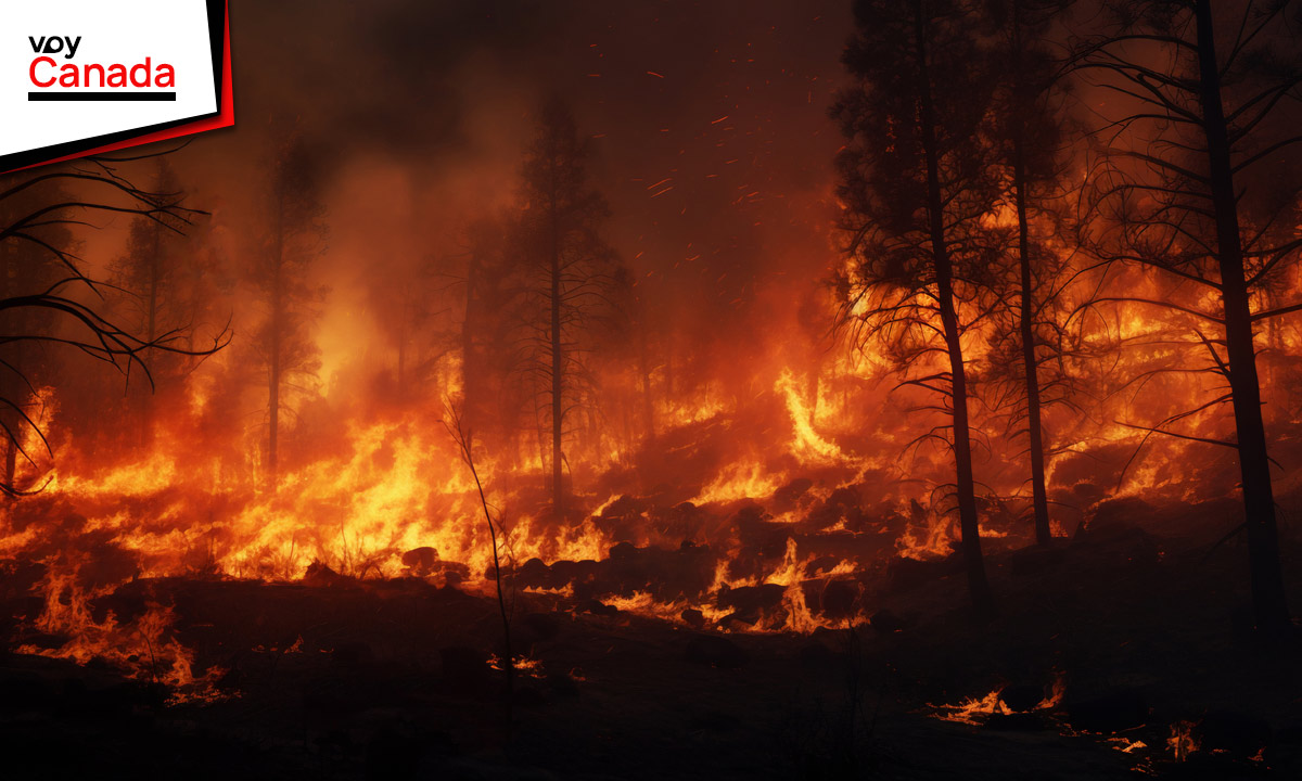 La Temporada de Incendios Forestales de Canadá